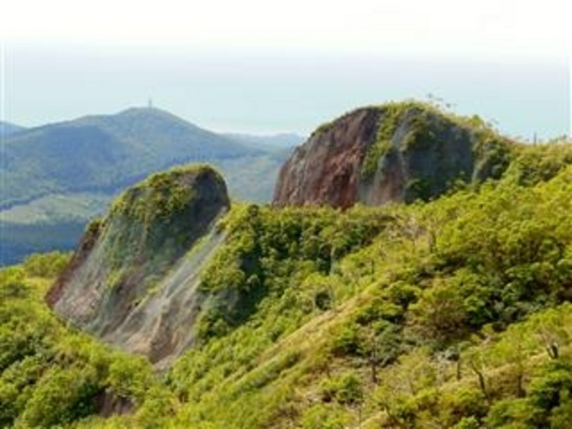 �u�I���t�����v����̌i�F_�I���t����