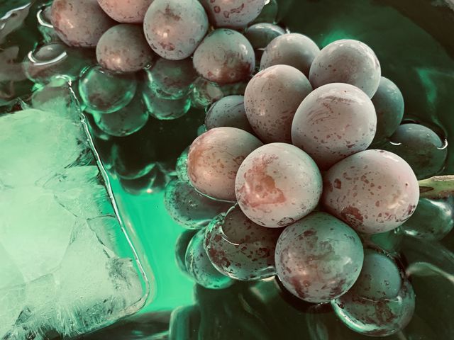 �嗱�s�I�[�l_�܂ق�t�@�[��