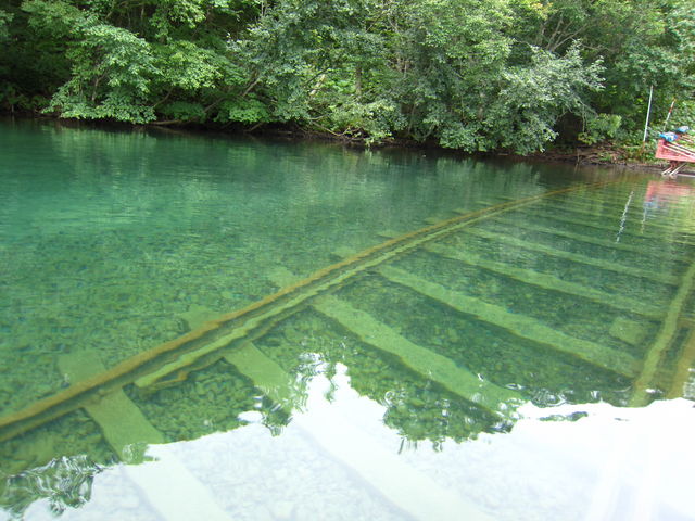 ̓xII@Jk[̓IXXł@̂肪Snł_Rʌ