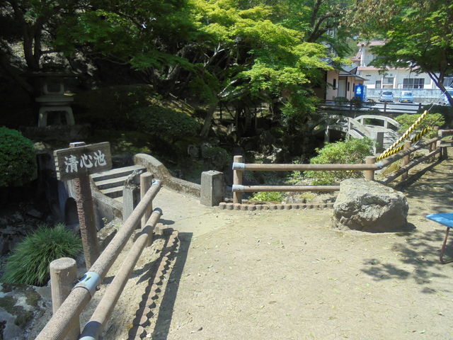 ����_���֎R����