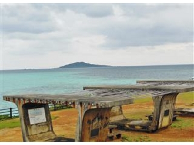 ���n��(����޼)���̌������猩��u�r�ԓ��v(1���ԂŊό��o����)_�r�ԓ�