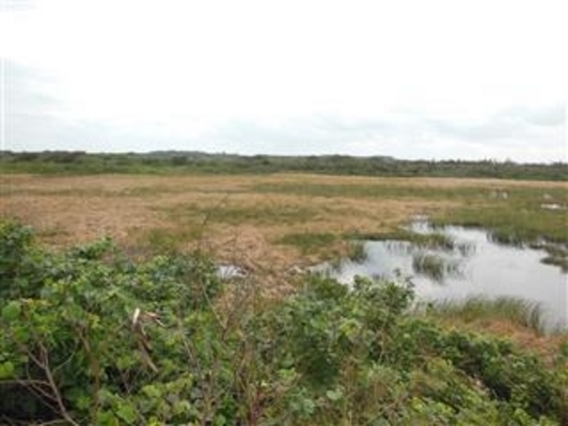 �����W�]�䂩�猩��u�r�Ԏ����v_�r�ԓ�