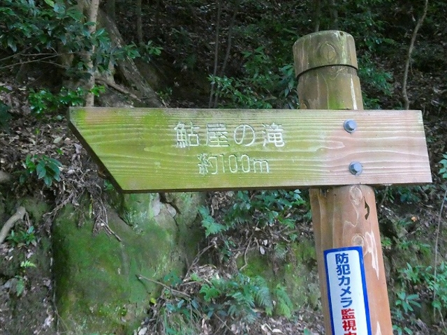 ���Ɍ��E�W�H���F�{�s�E�����̑�_�����̑�