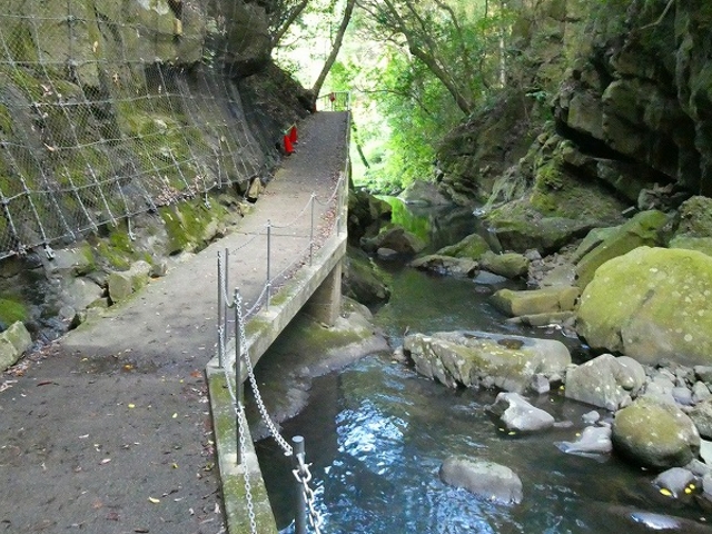 ���Ɍ��E�W�H���F�{�s�E�����̑�_�����̑�