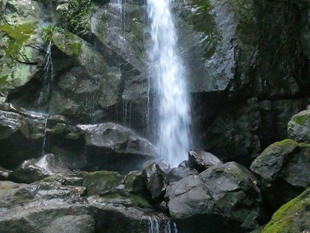 ���Ɍ��E�W�H���F�{�s�E�����̑�_�����̑�