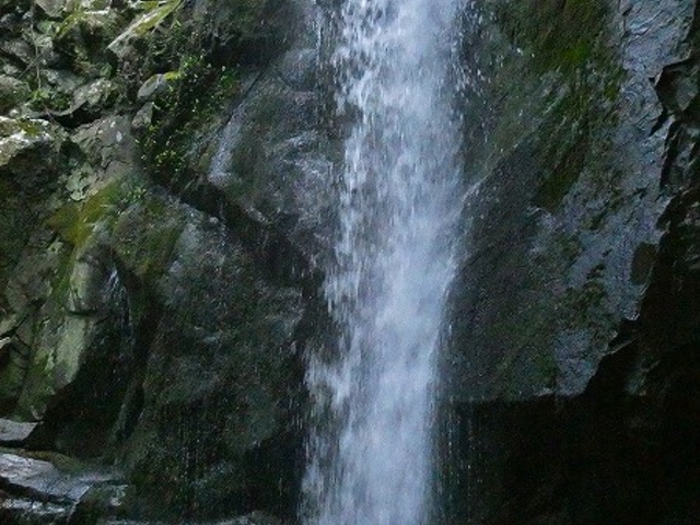 ���Ɍ��E�W�H���F�{�s�E�����̑�_�����̑�