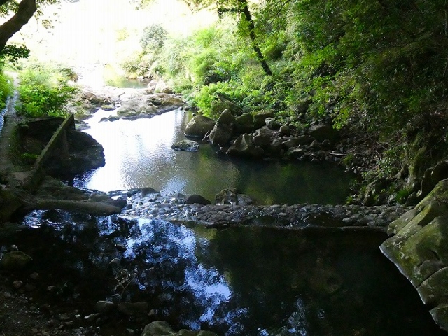 ���Ɍ��E�W�H���F�{�s�E�����̑�_�����̑�