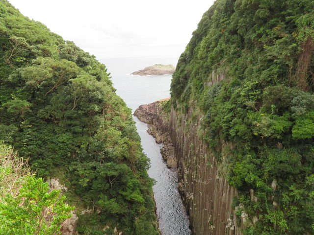 ���̍����A�������܂ꂻ���B_�n���w