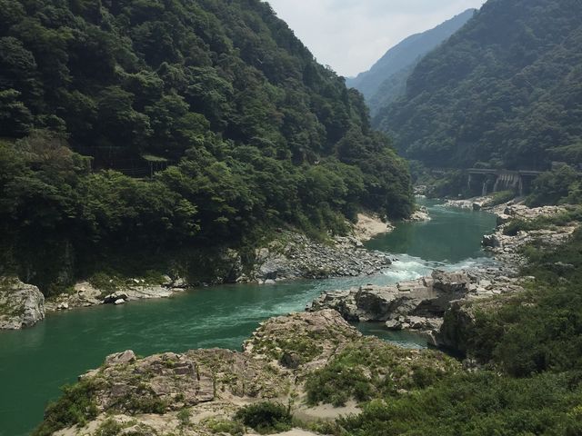 ��̐F���{���ɂ��ꂢ�B�����ڂ�藬�ꂪ���������ł��B_����륏�����