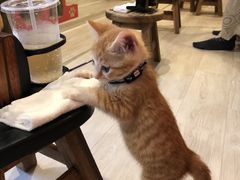 lR傱̕یLJtF@Ђ܂荆ւ̓eʐ^1