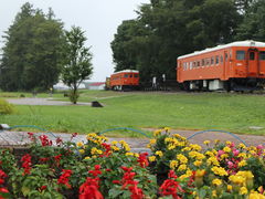 ̂񂳂̈wEKwւ̓eʐ^1