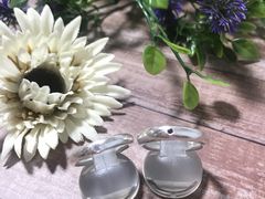 Ђ낳̃AgG@̃CJւ̓eʐ^1