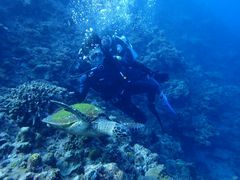 ���[�ց[����̃V���m�[�P�����{�@�I�L�i���ւ̓��e�ʐ^1