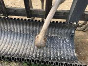 ۂ񂳂̃jZRQL傤q̓eʐ^1