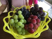 悿񂳂̑׉ʉ̓eʐ^1