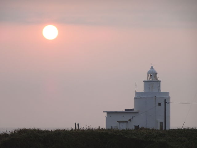 ���̏o�ł�_�[���z��