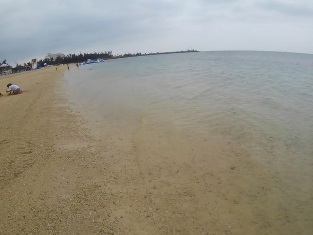 50̃Xm[{[h񂳂̃V[TChXgEJxC̓eʐ^3