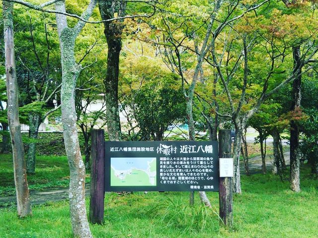 �΂������΂��Ă��܂��B���������g�t�������ȋC�z�����܂����B_�x�ɑ��ߍ]����