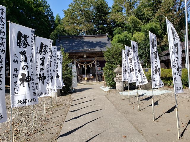 �q�a_�H�ې_��