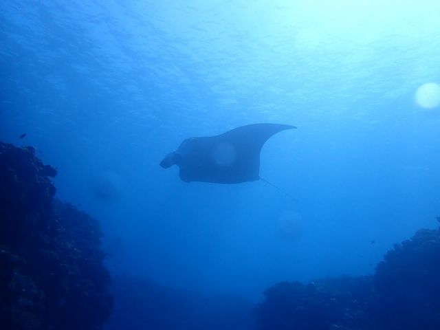 �}���^�I�I�I�I_�_�C�u�n�E�X�}���^�Ί_��