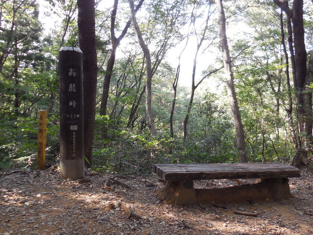 ���퓻_���������R����