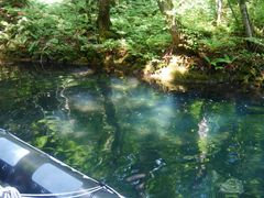 keĩBgJ̓]ւ̓eʐ^1