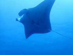 炢̃_CrOVbvKUKURUւ̓eʐ^1