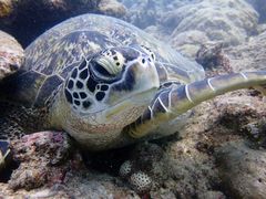 炢̃_CrOVbvKUKURUւ̓eʐ^2