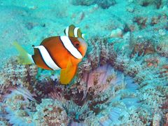 炢̃_CrOVbvKUKURUւ̓eʐ^3