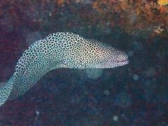 炢̃_CrOVbvKUKURUւ̓eʐ^4