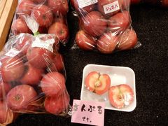 V񂳂̓̉wЂ܂w񂲂̐Xxւ̓eʐ^1