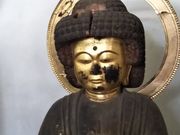 ���܂�����̋ʌj���̓��e�ʐ^1