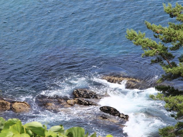 �����x�����I_�l�\����W�]��