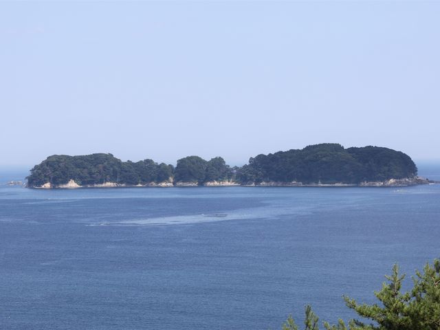 �^�u�̑哇_�l�\����W�]��