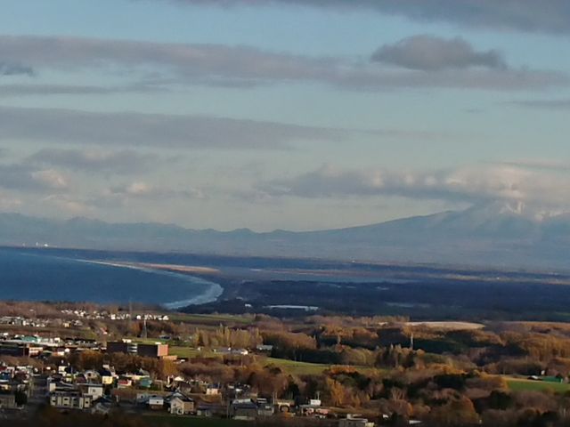 �I�z�[�c�N�C_�V�s�R�W�]��