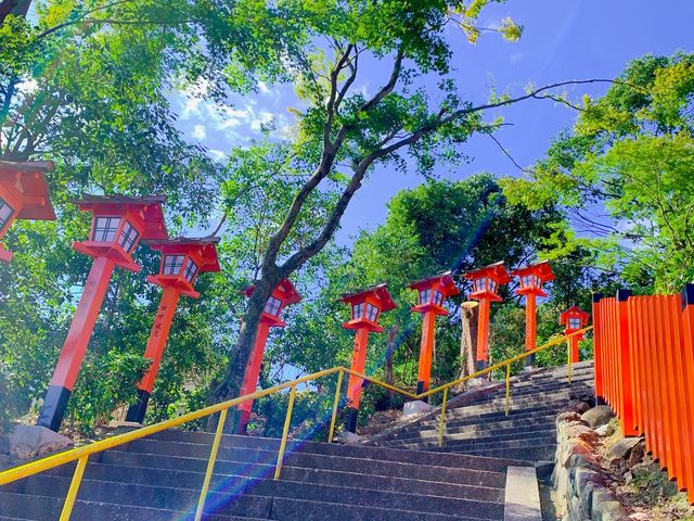 �H�̍g�t�V�[�Y�����Y��Ȃ̂ł����X�Ƃ����΂̋G�߂��ƂĂ��Y��Ȃ̂ł������߂ł��B_���M�_��