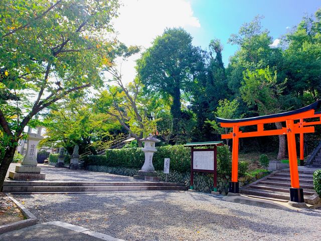 �����������͋C�Ȃ̂ł���������肵�Ă��܂������ł�_���M�_��