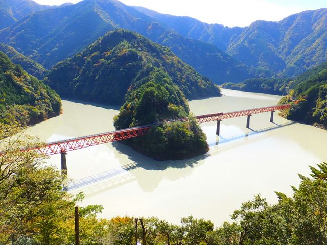 �����Ώ�w