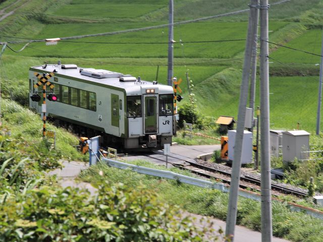 cOrkł͗L܂ł_앗̋u