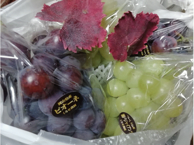 �f�U�[�g�����Ȃ��ł�_���낹�_��