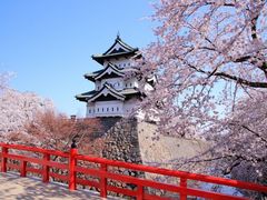 弘前公園の桜の写真一覧 じゃらんnet