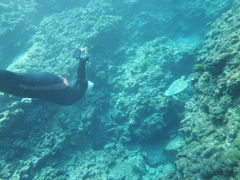 䂳̉vKChNuւ̓eʐ^2