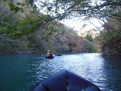 oryzãhbv@AEghAKChT[rXւ̓eʐ^1