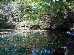 oryzãhbv@AEghAKChT[rXւ̓eʐ^3