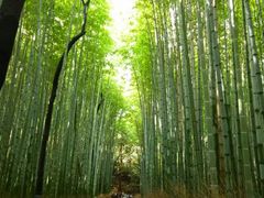 񂳂̒|т̓ւ̓eʐ^1