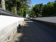 ̂肳񂳂̔sxn`IQۑn̓eʐ^2