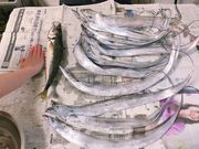 ܂̊厺`@ޑD@ܘYۂ̓eʐ^1