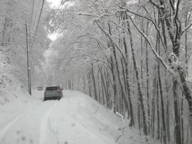 ���ł���_���_��X�L�[��