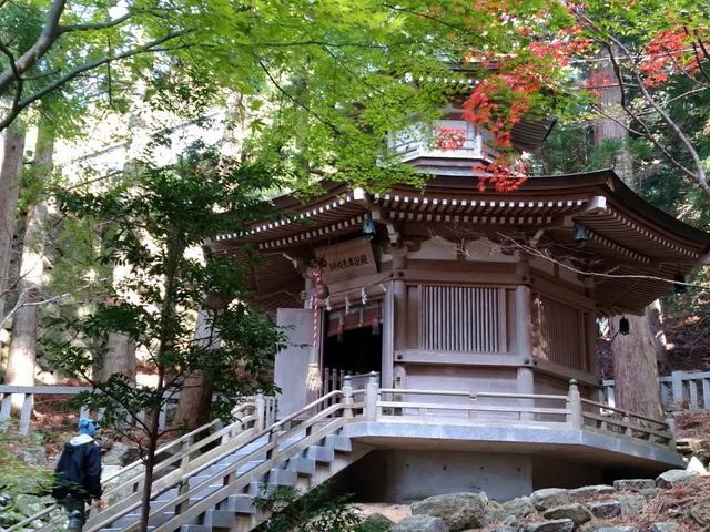 ���傤�Ǎg�t�����������ł���
_���؎R