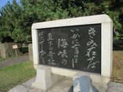 ̂䂫̓ۑ҈ԗ̔̓eʐ^3